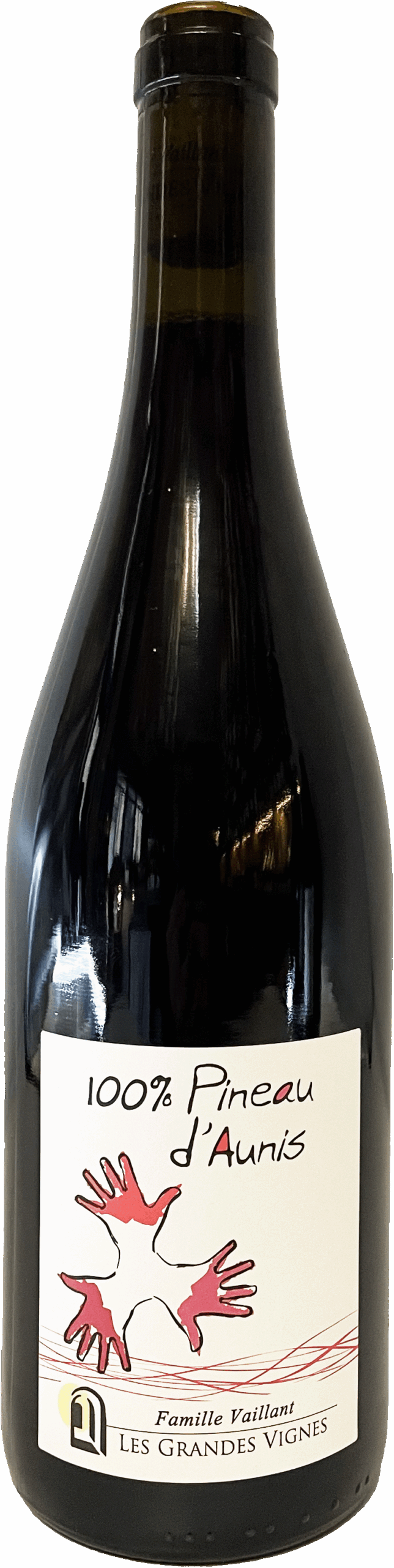 Pineau d'Aunis Les Grandes Vignes