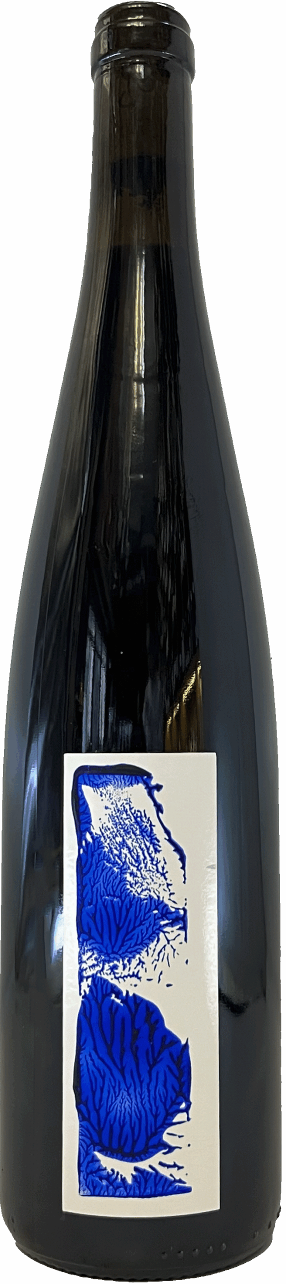 Pluie 2022 Arthur Fèvre