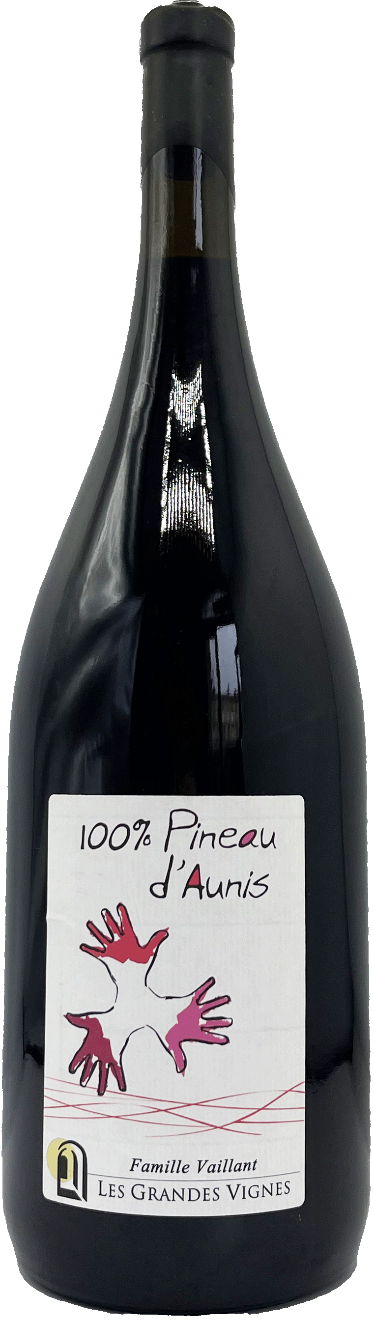 Pineau d'Aunis 2022 Magnum - Domaine des Grandes Vignes - VDF (Loire) - 11%