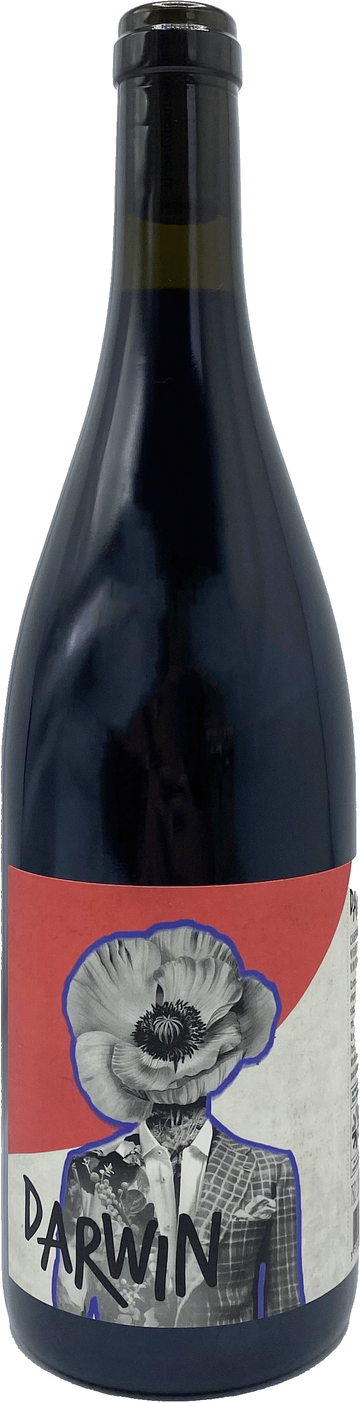 Darwin Cabernet Jura - Wine Impact